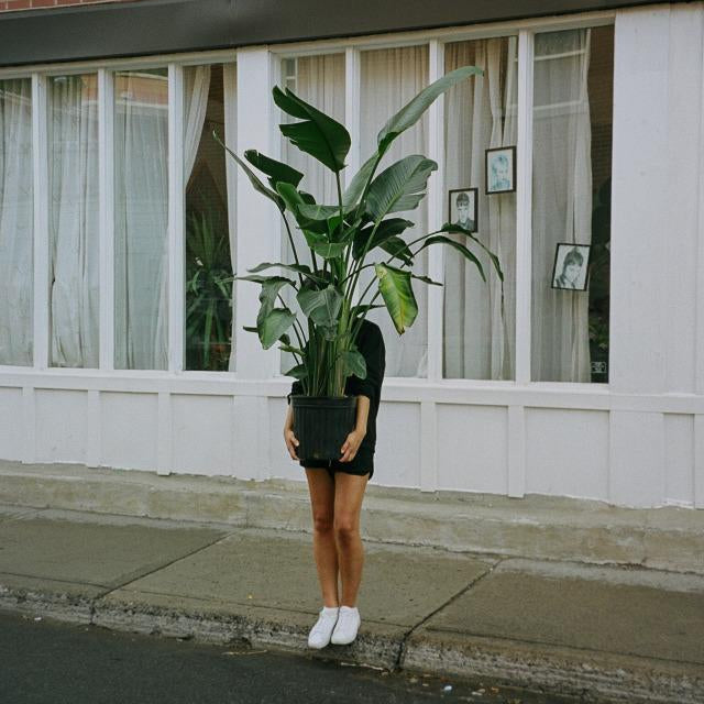 Sustainability and Style: Why Slow Fashion Matters